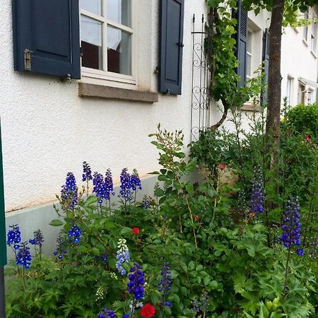 Seelig'S Weinsheim  Bagian luar foto