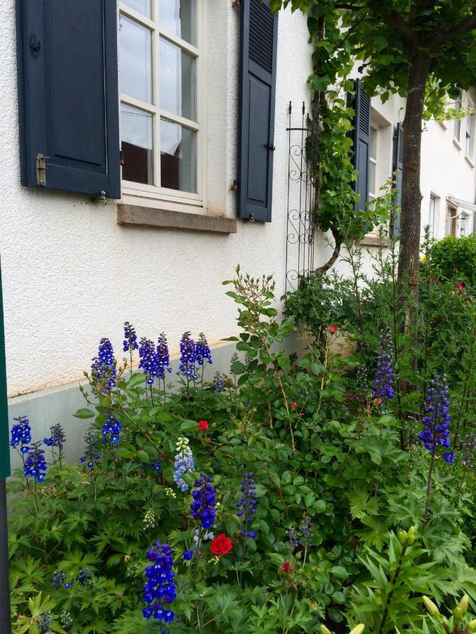 Seelig'S Weinsheim  Bagian luar foto